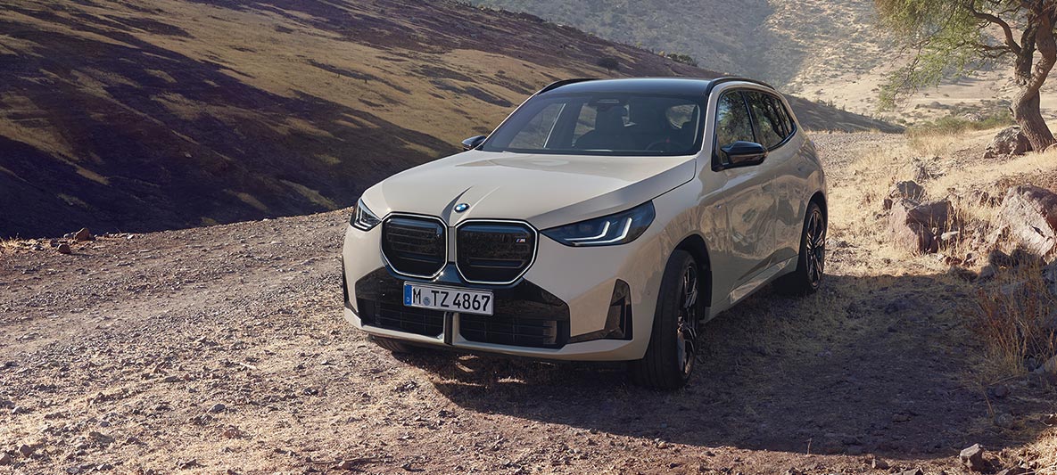 THE NEW X3